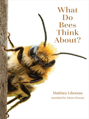 cover image of What Do Bees Think About?